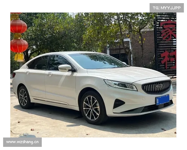 供准车主参考 博瑞1.8T提车 供准车主参考 博瑞1.8T提车